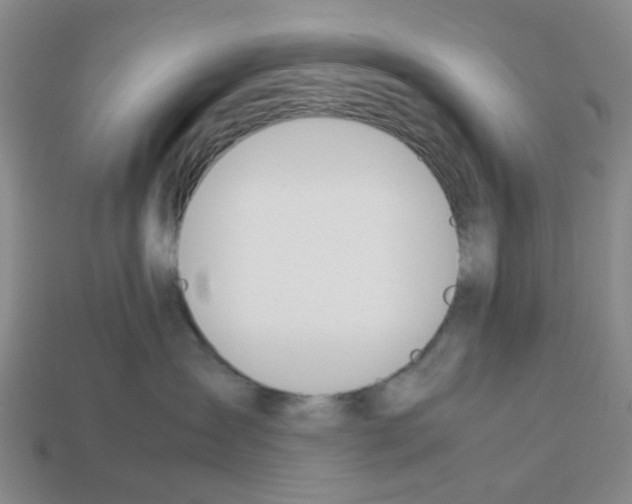 X0000112810431200910021145