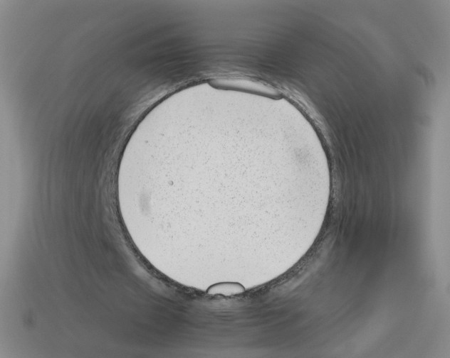 X0000112810433200910021144