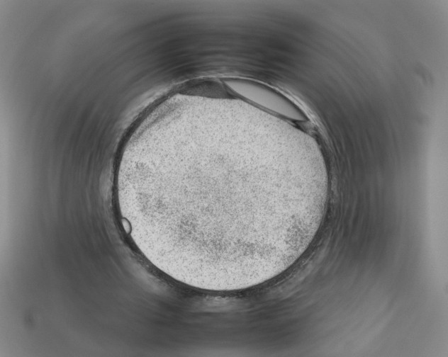 X0000112810437200910021144