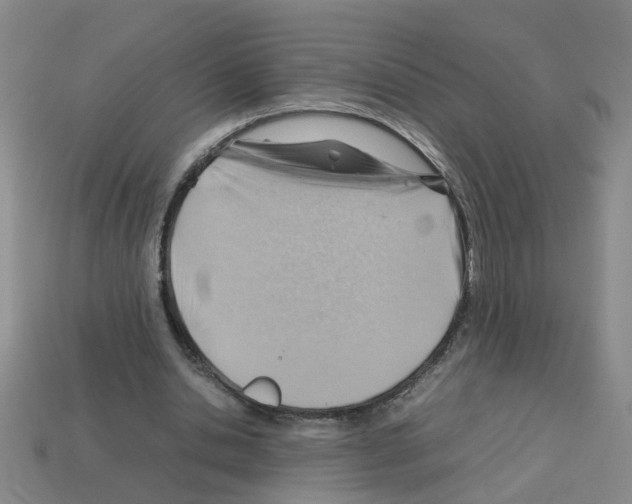 X0000112810438200910021144