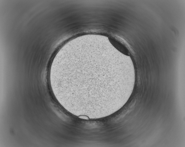 X0000112810439200910021144