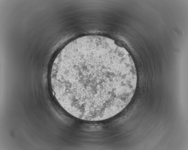 X0000112810443200910021144