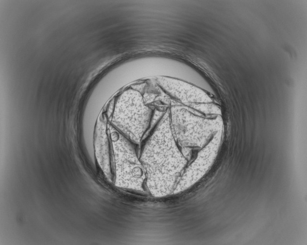 X0000112810444200910021144