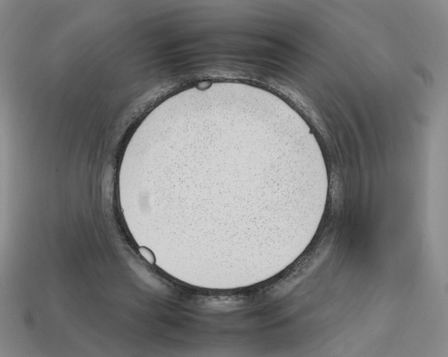 X0000112810445200910021144