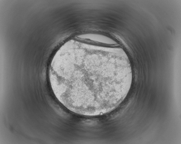 X0000112810447200910021144