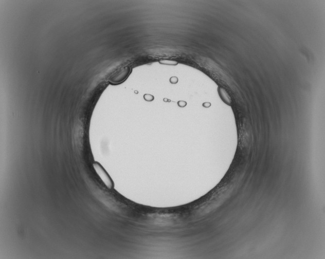 X0000112810448200910021144