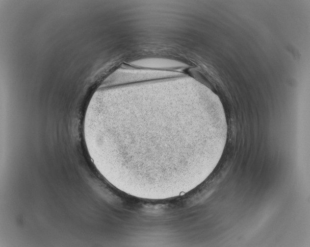 X0000112810450200910021144
