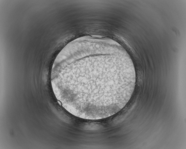 X0000112810451200910021144