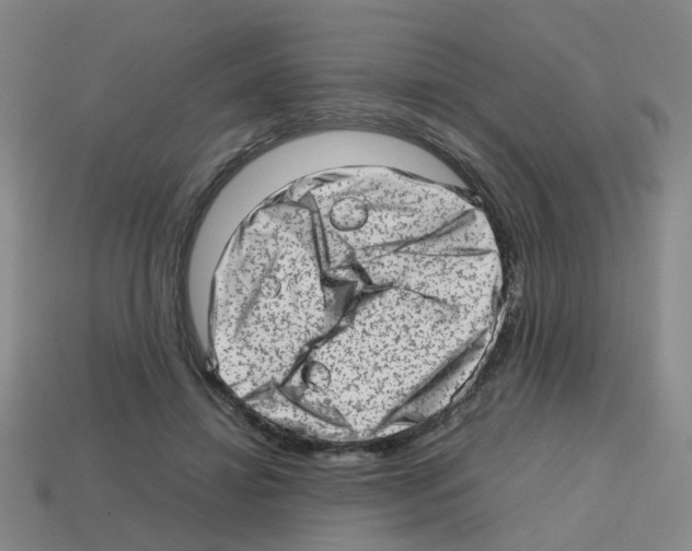 X0000112810452200910021144