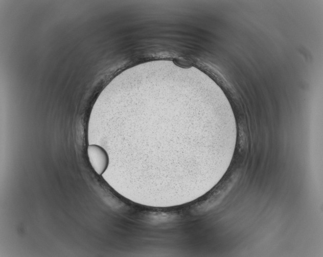 X0000112810453200910021144