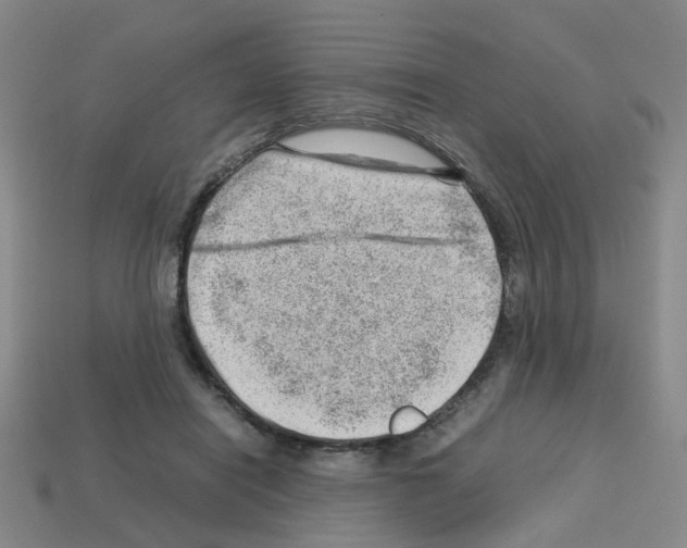 X0000112810454200910021144