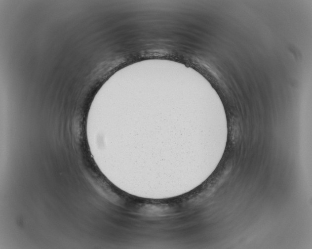 X0000112810455200910021144