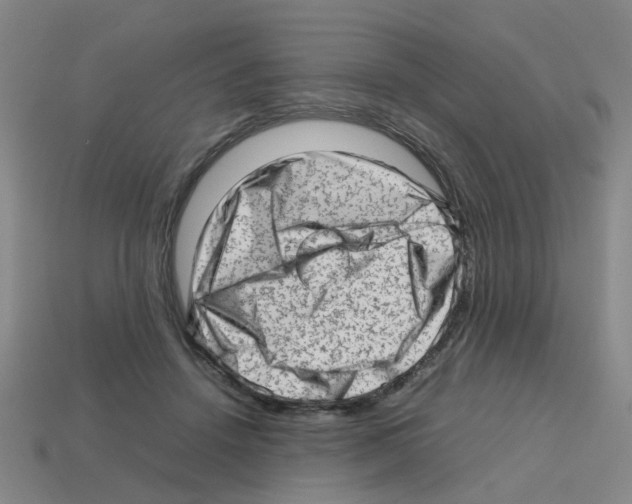 X0000112810456200910021144
