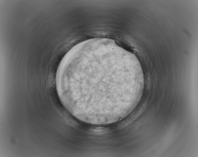 X0000112810467200910021144