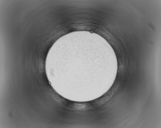 X0000112810469200910021144