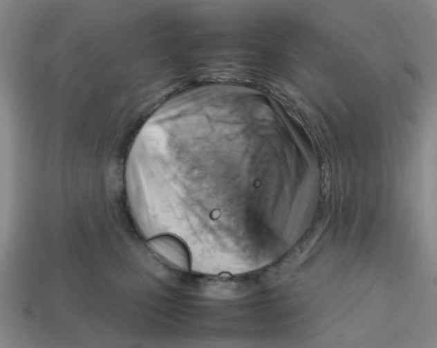 X0000112810471200910021144