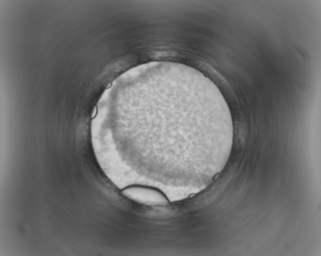 X0000112810475200910021144
