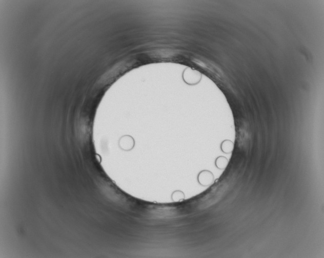 X0000112810476200910021144