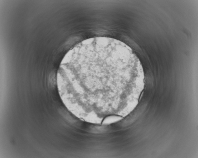 X0000112810479200910021144