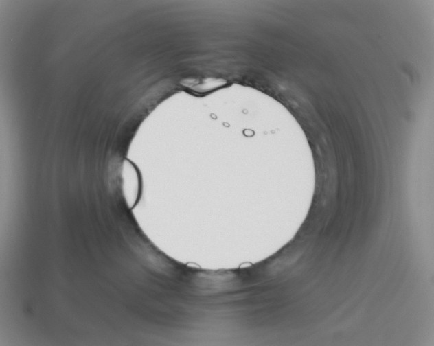 X0000112810480200910021145