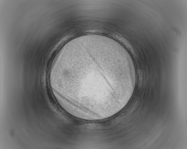 X0000112810482200910021144