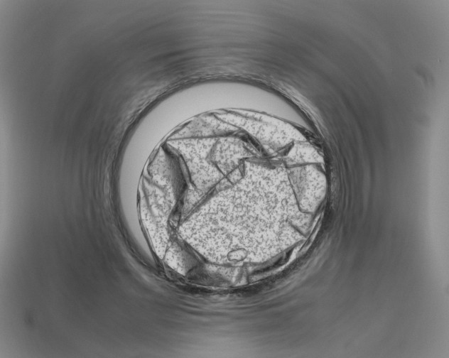 X0000112810493200910021144