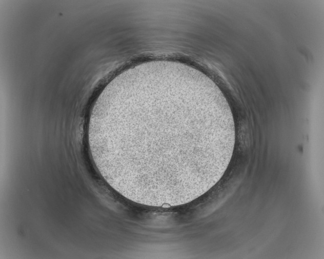 X0000112810495200910021144