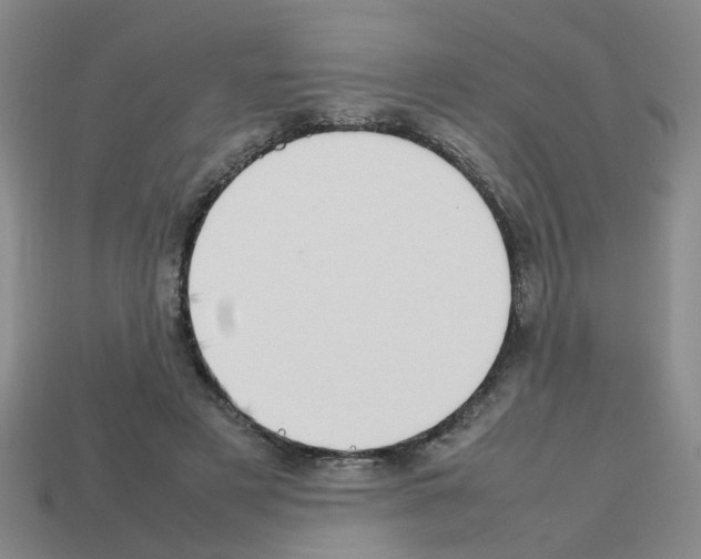 X0000112810497200910021144