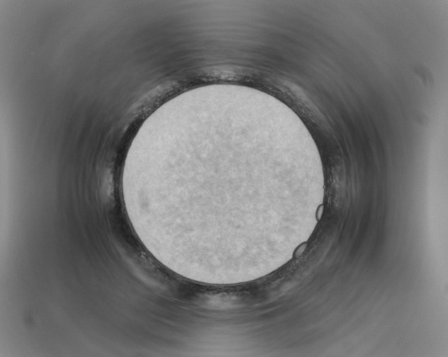 X0000112810500200910021144