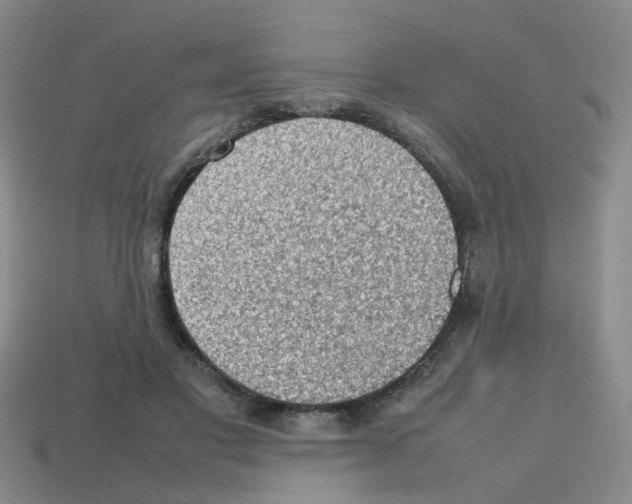 X0000112810501200910021144