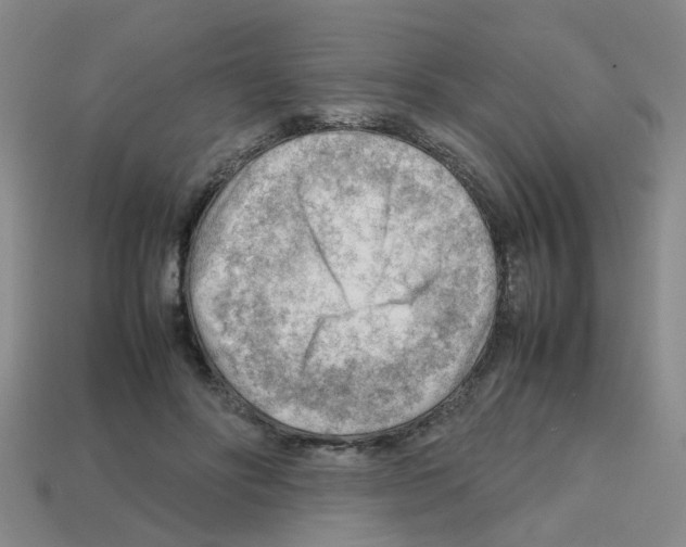 X0000112810502200910021143