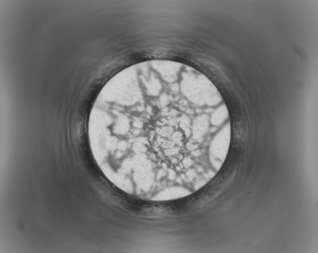 X0000112810503200910021143