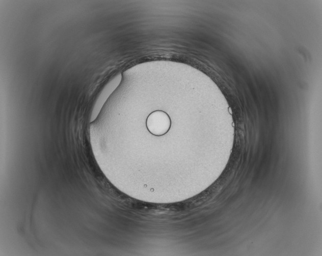 X0000112810504200910021143