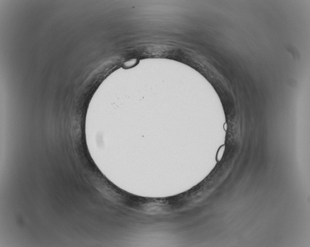 X0000112810505200910021143