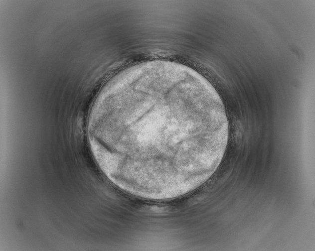 X0000112810506200910021143