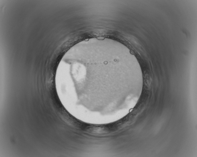X0000112810507200910021143