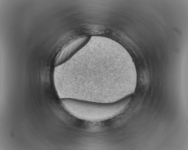 X0000112810512200910021143