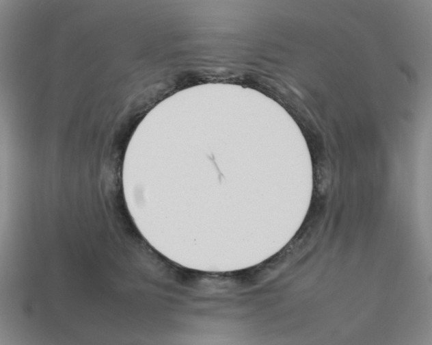 X0000112810515200910021143