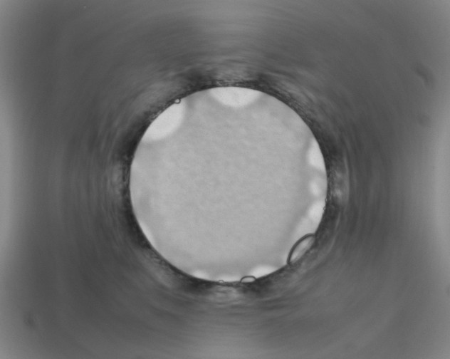 X0000112810519200910021143