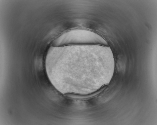 X0000112810520200910021143