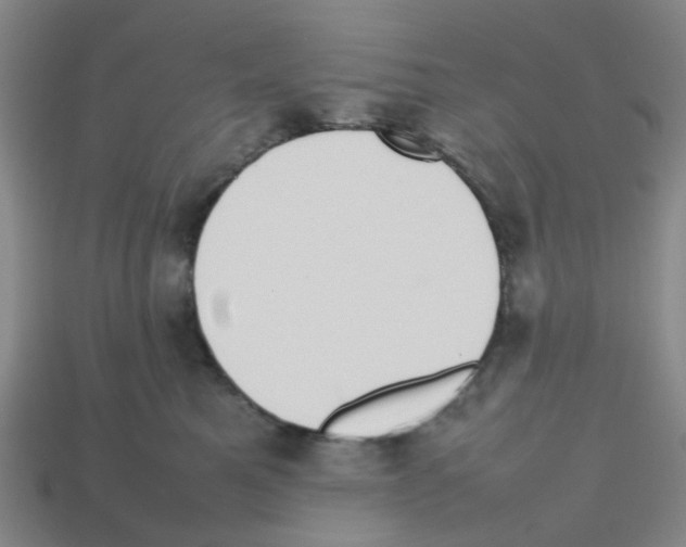 X0000112810521200910021143