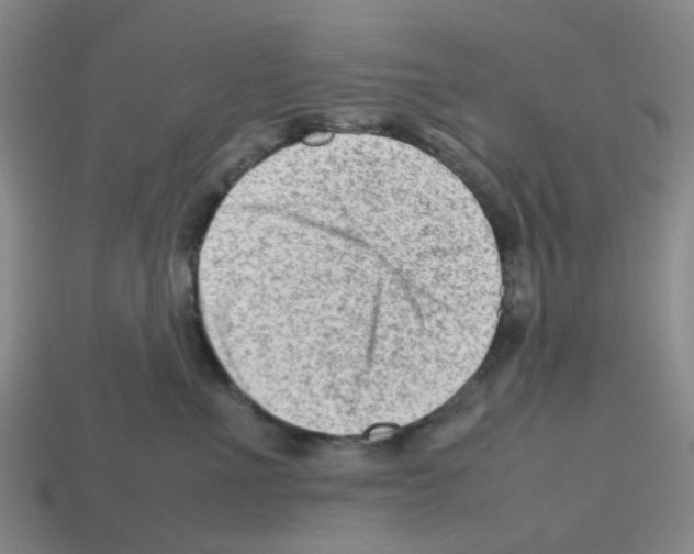 X0000112810523200910021143