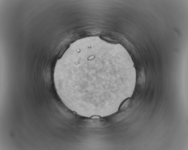 X0000112810524200910021143