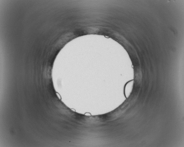 X0000112810525200910021143
