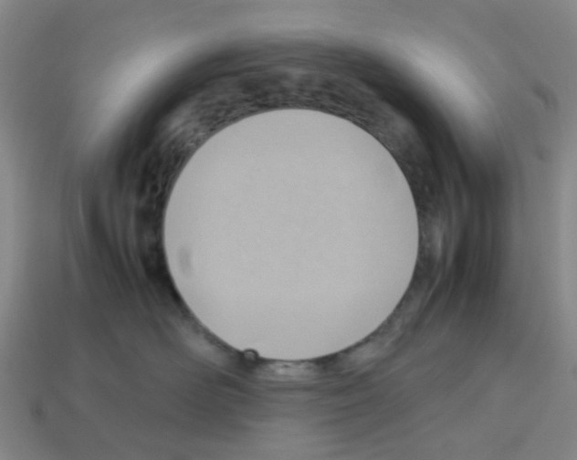 X0000112810526200910021143