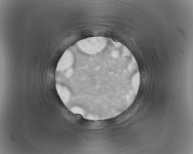 X0000112810527200910021143
