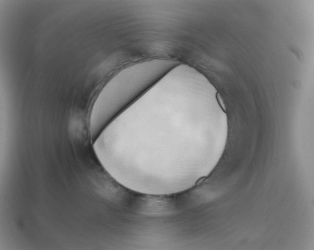 X0000112810528200910021143