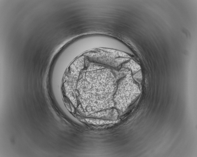 X0000112810532200910021142