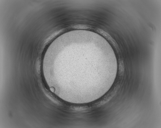 X0000112810533200910021142