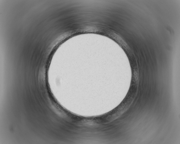 X0000112810534200910021142